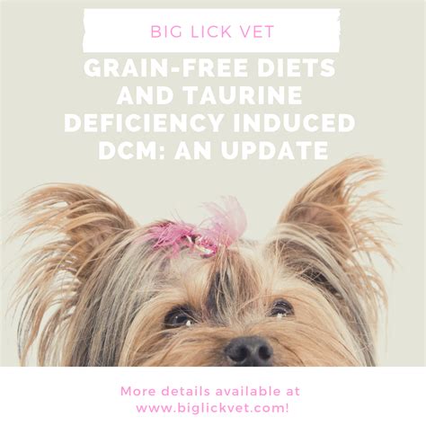 dcm in dogs grain free